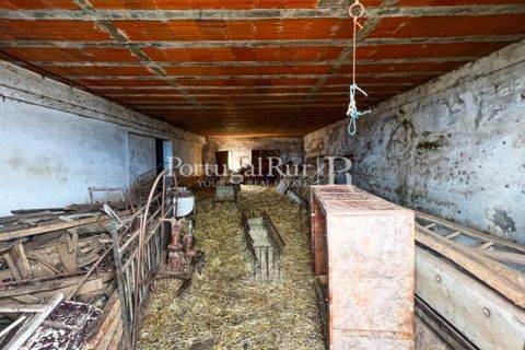 Granja a Sousel, Portalegre, Sousel - € 219.000 | Ref: 642-2 - foto 15