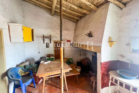Granja a Sousel, Portalegre, Sousel - € 219.000 | Ref: 642-2 - foto 17