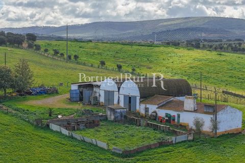 Granja a Sousel, Portalegre, Sousel - € 219.000 | Ref: 642-2 - foto 2