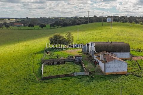 Granja a Sousel, Portalegre, Sousel - € 219.000 | Ref: 642-2 - foto 3