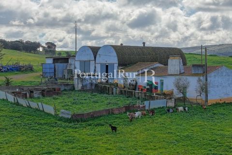 Granja a Sousel, Portalegre, Sousel - € 219.000 | Ref: 642-2 - foto 23