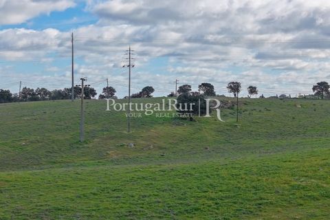 Granja a Sousel, Portalegre, Sousel - € 219.000 | Ref: 642-2 - foto 26