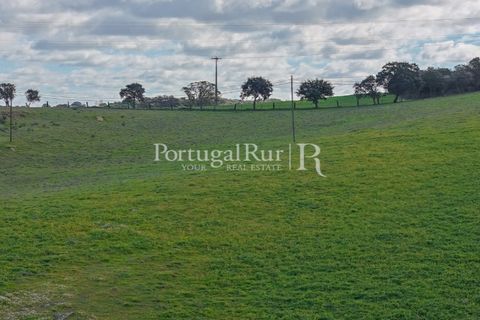 Granja a Sousel, Portalegre, Sousel - € 219.000 | Ref: 642-2 - foto 27