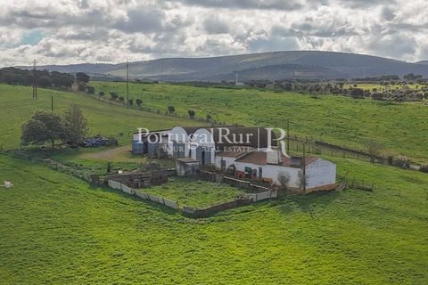 Granja a Sousel, Portalegre, Sousel - € 219.000 | Ref: 642-2 - foto 29
