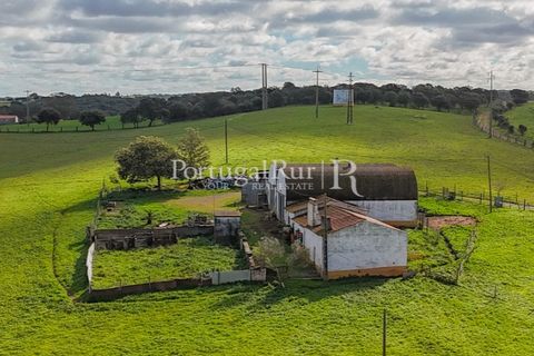 Granja a Sousel, Portalegre, Sousel - € 219.000 | Ref: 642-2 - foto 30