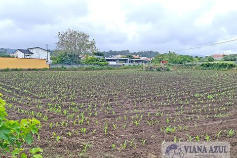 Helårsgrund i Viana do Castelo, Viana do Castelo, Viana do Castelo - € 205.000 | Ref: 1914 - foto 3