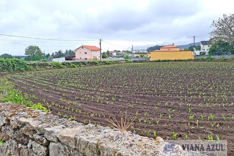 Helårsgrund i Viana do Castelo, Viana do Castelo, Viana do Castelo - € 205.000 | Ref: 1914 - foto 6