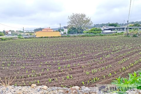 Helårsgrund i Viana do Castelo, Viana do Castelo, Viana do Castelo - € 205.000 | Ref: 1914 - foto 7