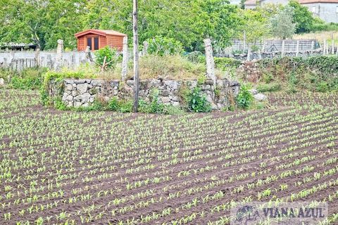 Helårsgrund i Viana do Castelo, Viana do Castelo, Viana do Castelo - € 205.000 | Ref: 1914 - foto 10