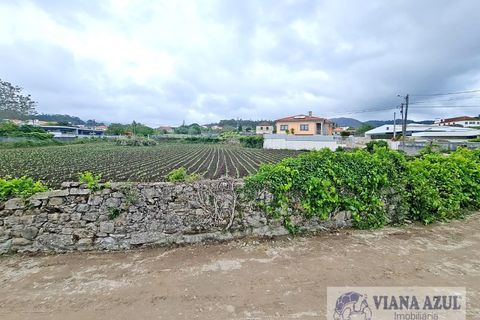 Helårsgrund i Viana do Castelo, Viana do Castelo, Viana do Castelo - € 205.000 | Ref: 1914 - foto 12