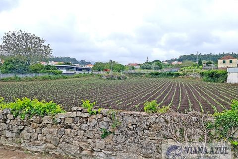 Helårsgrund i Viana do Castelo, Viana do Castelo, Viana do Castelo - € 205.000 | Ref: 1914 - foto 13