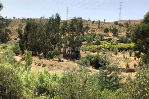 Helårsgrund i Silves, Faro, Silves - € 1.200.000 | Ref: LL038 - foto 2