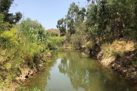 Helårsgrund i Silves, Faro, Silves - € 1.200.000 | Ref: LL038 - foto 3