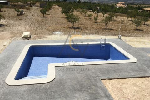 Villa i Pinoso, Alicante, Pinoso - € 332.000 | Ref: DNV0163 - foto 13