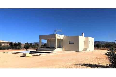 Villa i Pinoso, Alicante, Pinoso - € 335.000 | Ref: DNV0263 - foto 3