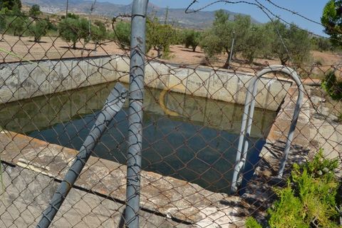Farm i Monovar, Alicante, Monovar - € 370.000 | Ref: DNV0226 - foto 17