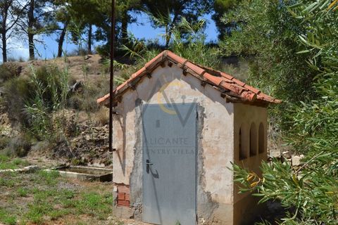 Farm i Monovar, Alicante, Monovar - € 370.000 | Ref: DNV0226 - foto 10