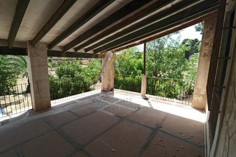 Farm i Monovar, Alicante, Monovar - € 370.000 | Ref: DNV0226 - foto 4
