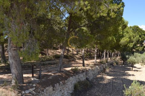 Farm i Monovar, Alicante, Monovar - € 370.000 | Ref: DNV0226 - foto 11