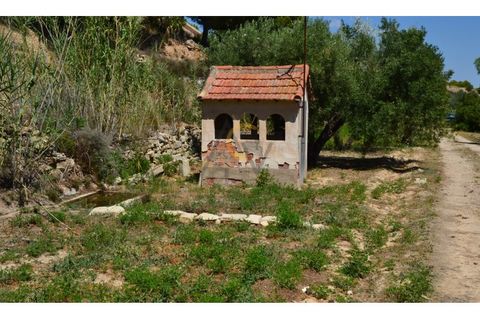 Farm i Monovar, Alicante, Monovar - € 370.000 | Ref: DNV0226 - foto 14