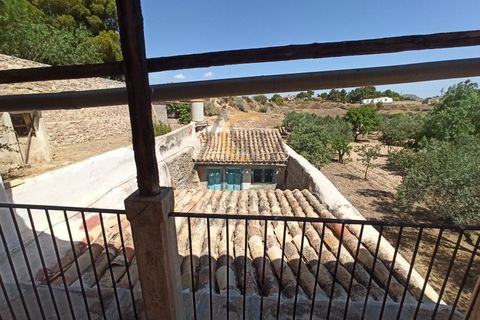 Farm i Monovar, Alicante, Monovar - € 370.000 | Ref: DNV0226 - foto 6