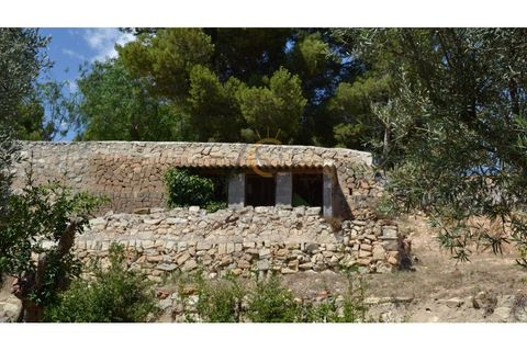 Farm i Monovar, Alicante, Monovar - € 370.000 | Ref: DNV0226 - foto 18