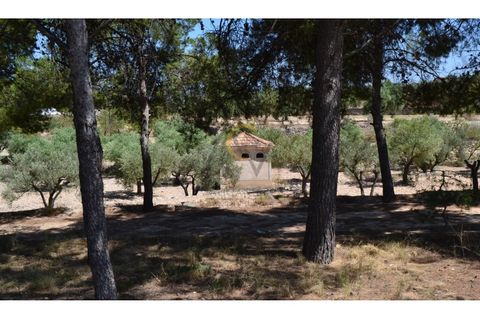 Farm i Monovar, Alicante, Monovar - € 370.000 | Ref: DNV0226 - foto 19