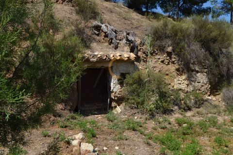 Farm i Monovar, Alicante, Monovar - € 370.000 | Ref: DNV0226 - foto 15