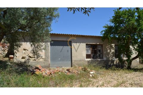 Farm i Monovar, Alicante, Monovar - € 370.000 | Ref: DNV0226 - foto 12