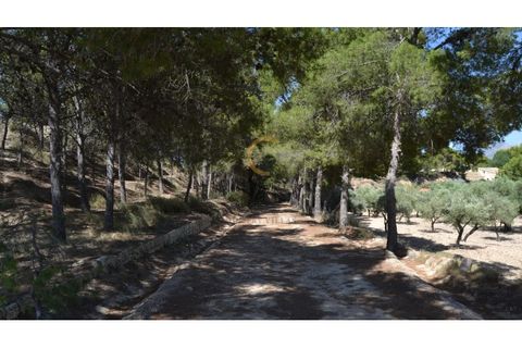 Farm i Monovar, Alicante, Monovar - € 370.000 | Ref: DNV0226 - foto 9