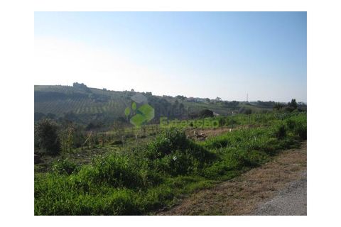 Helårsgrund i Obidos, Leiria, Obidos - € 65.000 | Ref: 1374 - foto 10