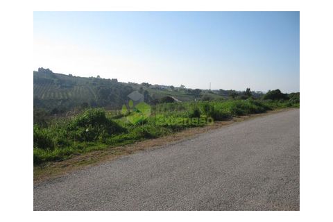 Helårsgrund i Obidos, Leiria, Obidos - € 65.000 | Ref: 1374 - foto 11