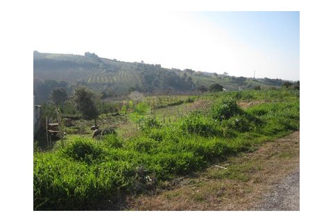 Helårsgrund i Obidos, Leiria, Obidos - € 65.000 | Ref: 1374 - foto 9