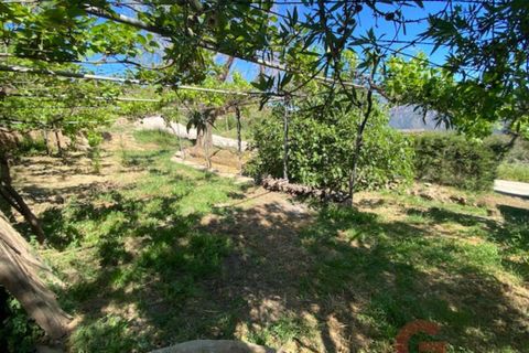 Finca a Lanjaron, Granada, Lanjaron - € 695.000 | Ref: J578 - foto 17