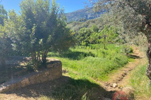 Finca a Lanjaron, Granada, Lanjaron - € 695.000 | Ref: J578 - foto 27