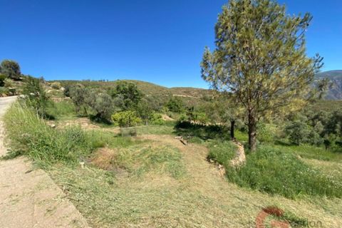 Finca a Lanjaron, Granada, Lanjaron - € 695.000 | Ref: J578 - foto 38