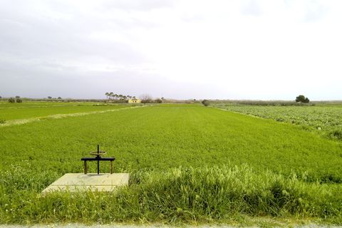 Terra a Dolores, Alicante, Dolores - € 98.000 | Ref: 2sp505 - foto 3