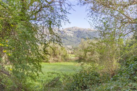 Finca a Pollenca, Mallorca, Pollenca - € 790.000 | Ref: 72226 - foto 7