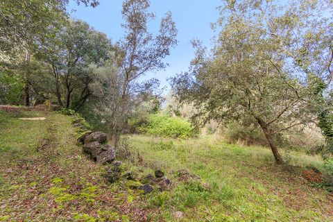 Finca a Pollenca, Mallorca, Pollenca - € 790.000 | Ref: 72226 - foto 6