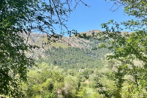 Finca a Pollenca, Mallorca, Pollenca - € 790.000 | Ref: 72226 - foto 9