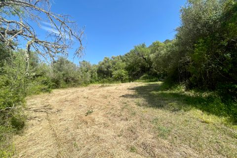 Finca a Pollenca, Mallorca, Pollenca - € 790.000 | Ref: 72226 - foto 13