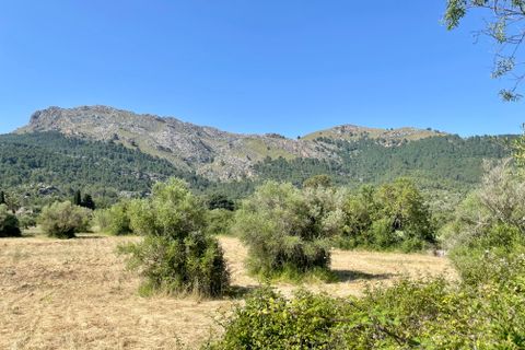 Finca a Pollenca, Mallorca, Pollenca - € 790.000 | Ref: 72226 - foto 14