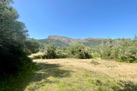 Finca a Pollenca, Mallorca, Pollenca - € 790.000 | Ref: 72226 - foto 16