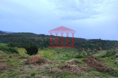Helårsgrund i Barcelos, Braga, Barcelos - € 72.500 | Ref: 272T00908 - foto 2