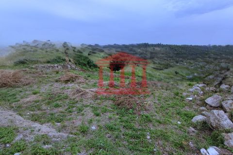 Helårsgrund i Barcelos, Braga, Barcelos - € 72.500 | Ref: 272T00908 - foto 4