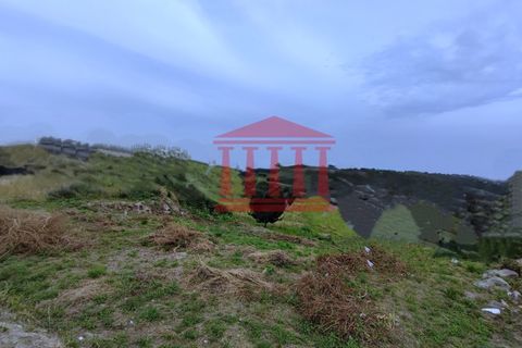 Helårsgrund i Barcelos, Braga, Barcelos - € 72.500 | Ref: 272T00908 - foto 5