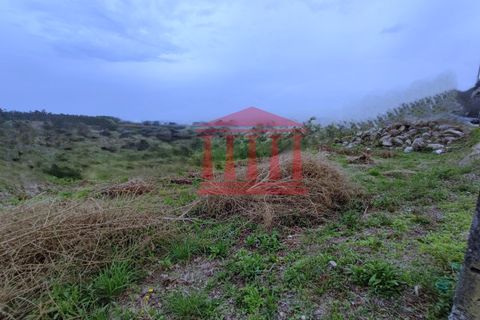 Helårsgrund i Barcelos, Braga, Barcelos - € 72.500 | Ref: 272T00908 - foto 6