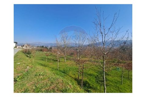 Villa i Arcos de Valdevez, Viana do Castelo, Arcos de Valdevez - € 1.540.000 | Ref: 1040-53 - foto 43