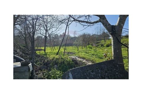 Villa i Arcos de Valdevez, Viana do Castelo, Arcos de Valdevez - € 1.540.000 | Ref: 1040-53 - foto 44