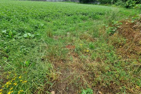 Helårsgrund i Maia, Porto, Maia - € 199.000 | Ref: NOVA-ER-1334 - foto 6